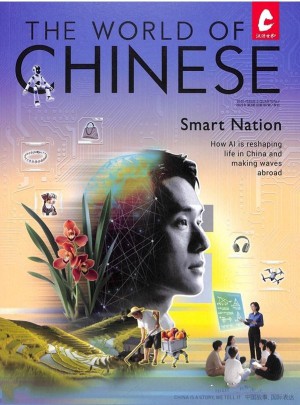 汉语世界杂志订阅